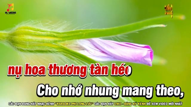 Karaoke Bội Bạc Tone Nữ Nhạc Sống Remix