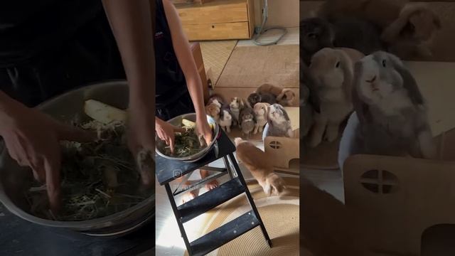 1000080141.mp4