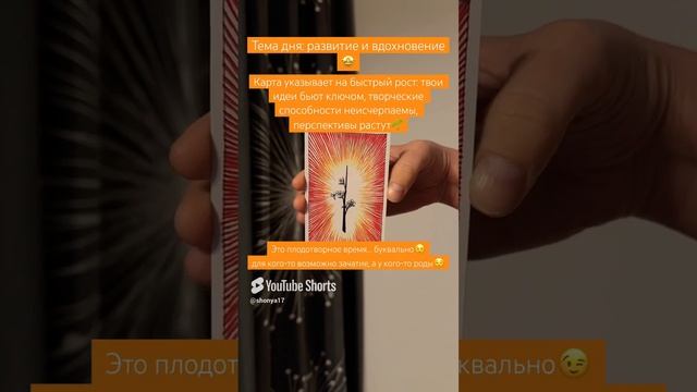 🤩#картадня #cardoftheday #таро #tarot #совет #таропрогноз