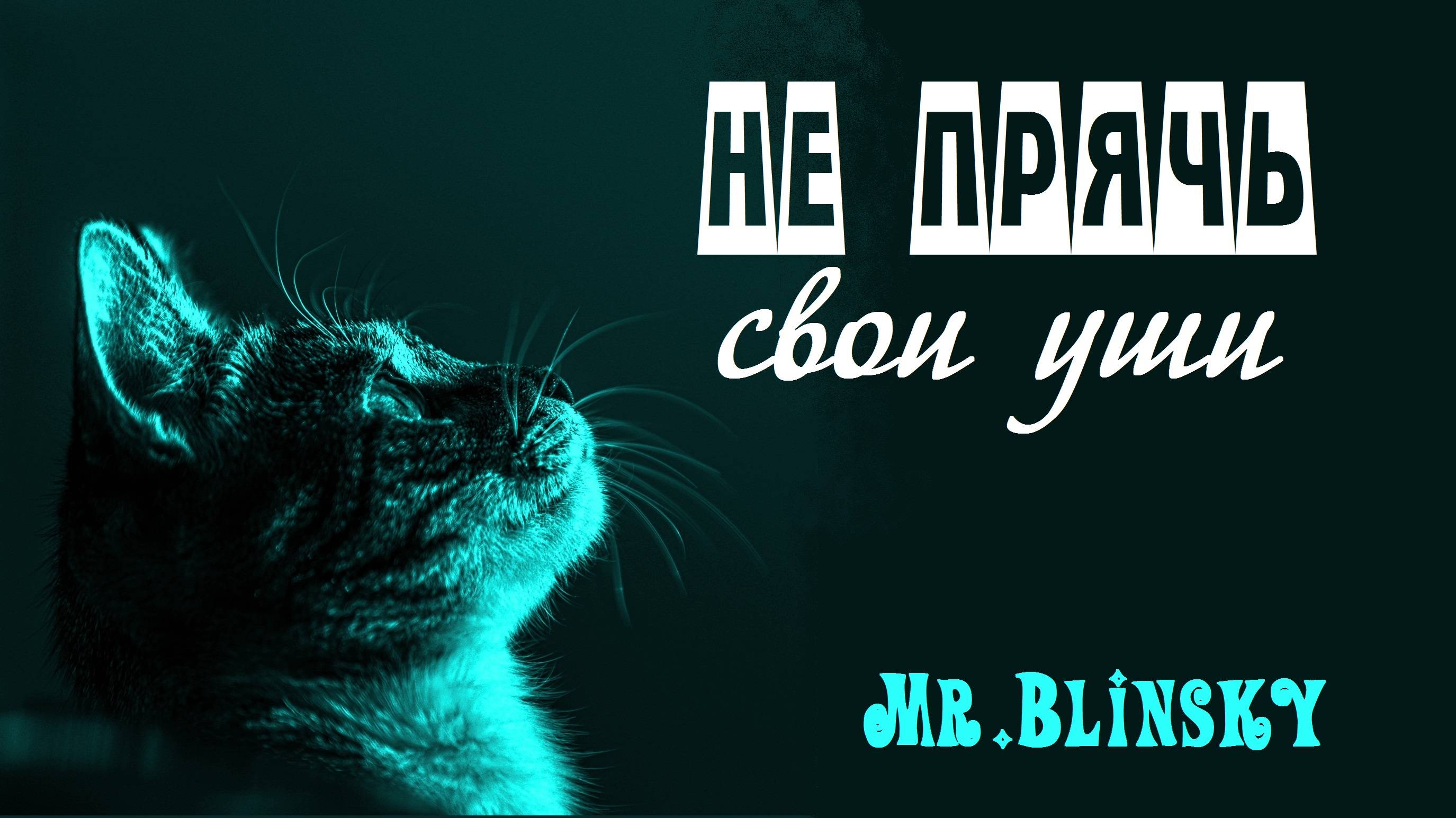 "Не прячь свои уши" или "Коты" - Mr.Blinsky. В конце вас ждет бонус - лайфхак!