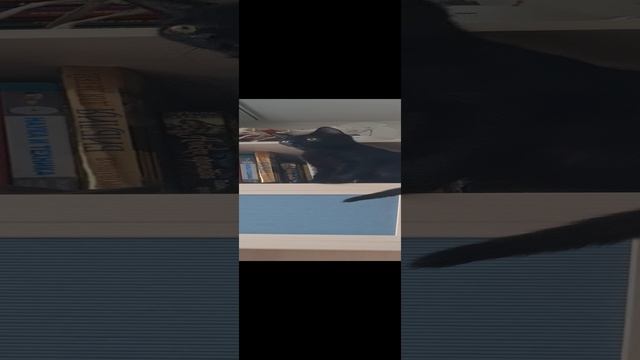 1000084205.mp4