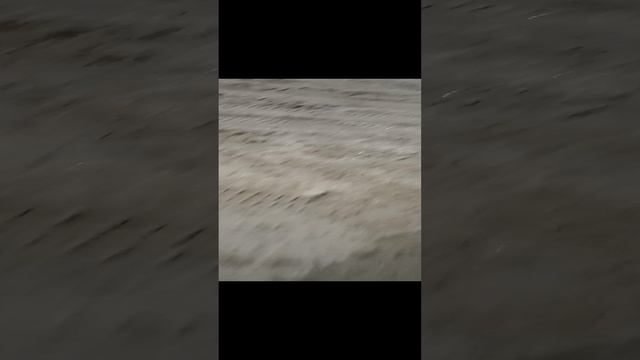 я живу хотя бы в новогодней столице