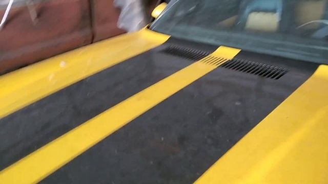 1976 Camaro Vinyl Top Surprise!!