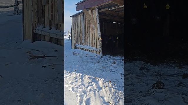 Установка камеры видеонаблюдения зимой