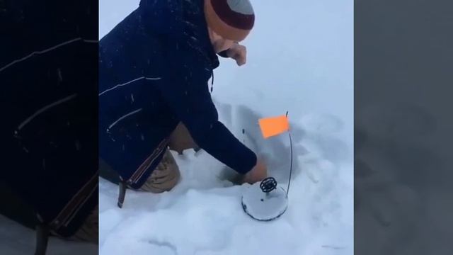 1000024071.mp4