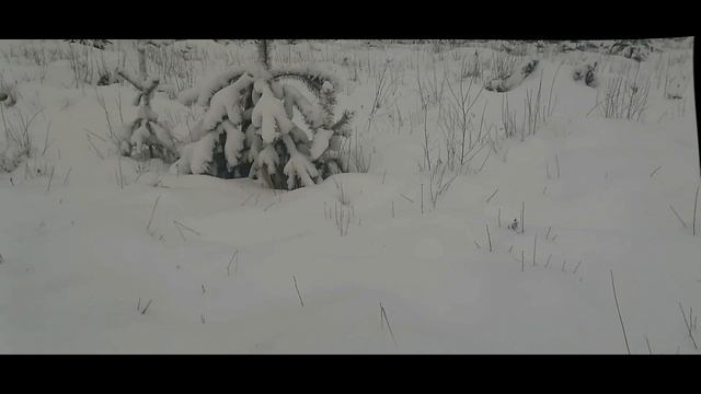 Сезон твердой воды Можайское водохранилище
12 Декабря 2024г.