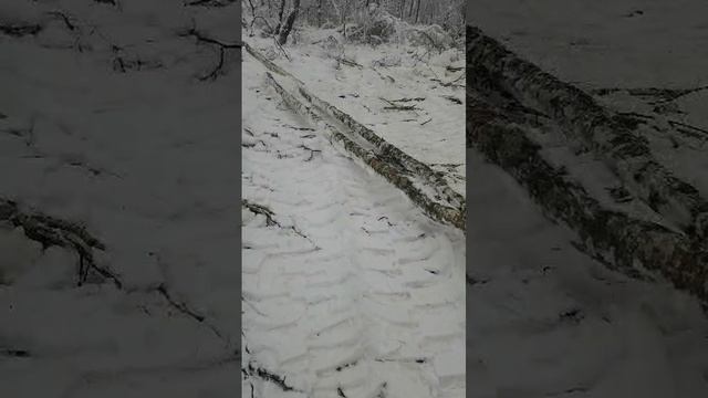 ЛуАЗ на ободрышах