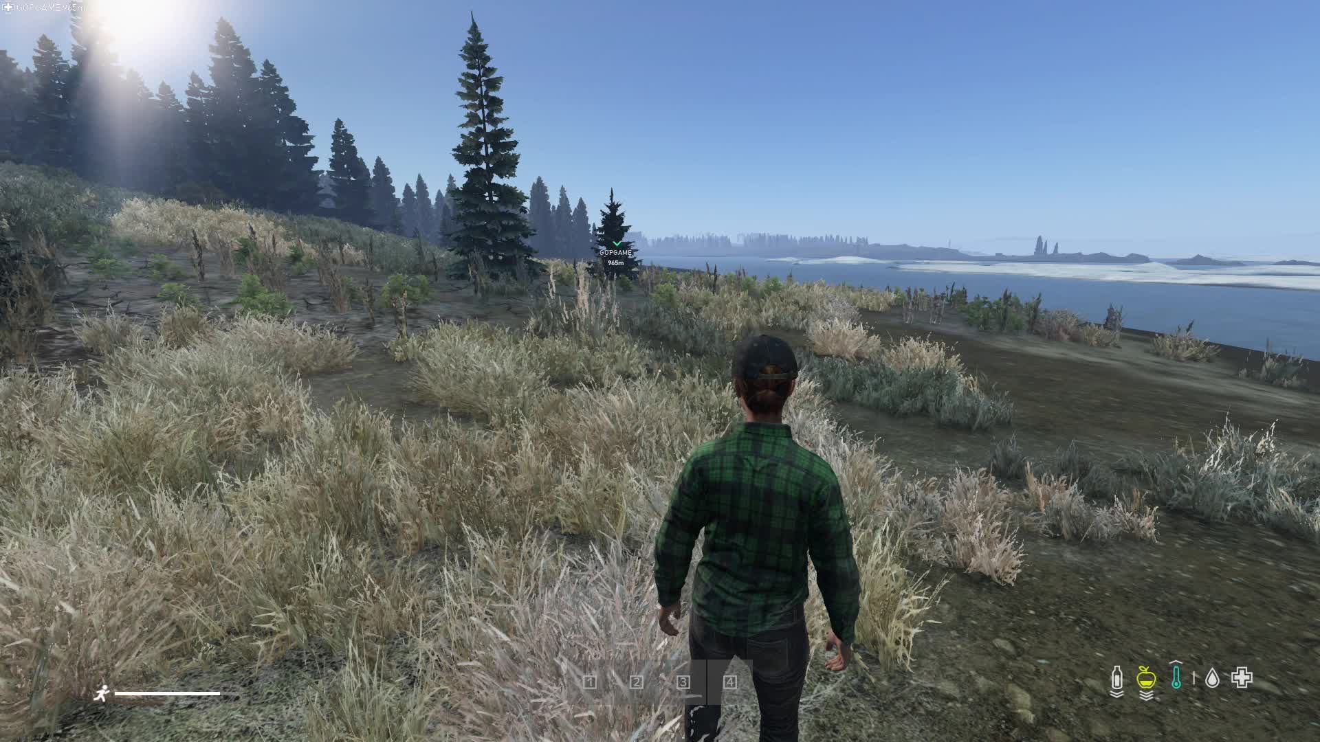DAYZ  выживание в суровом Намальске   на сервере  SILENT NORT.