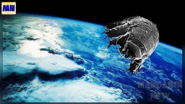5 самых живучих существ в природе