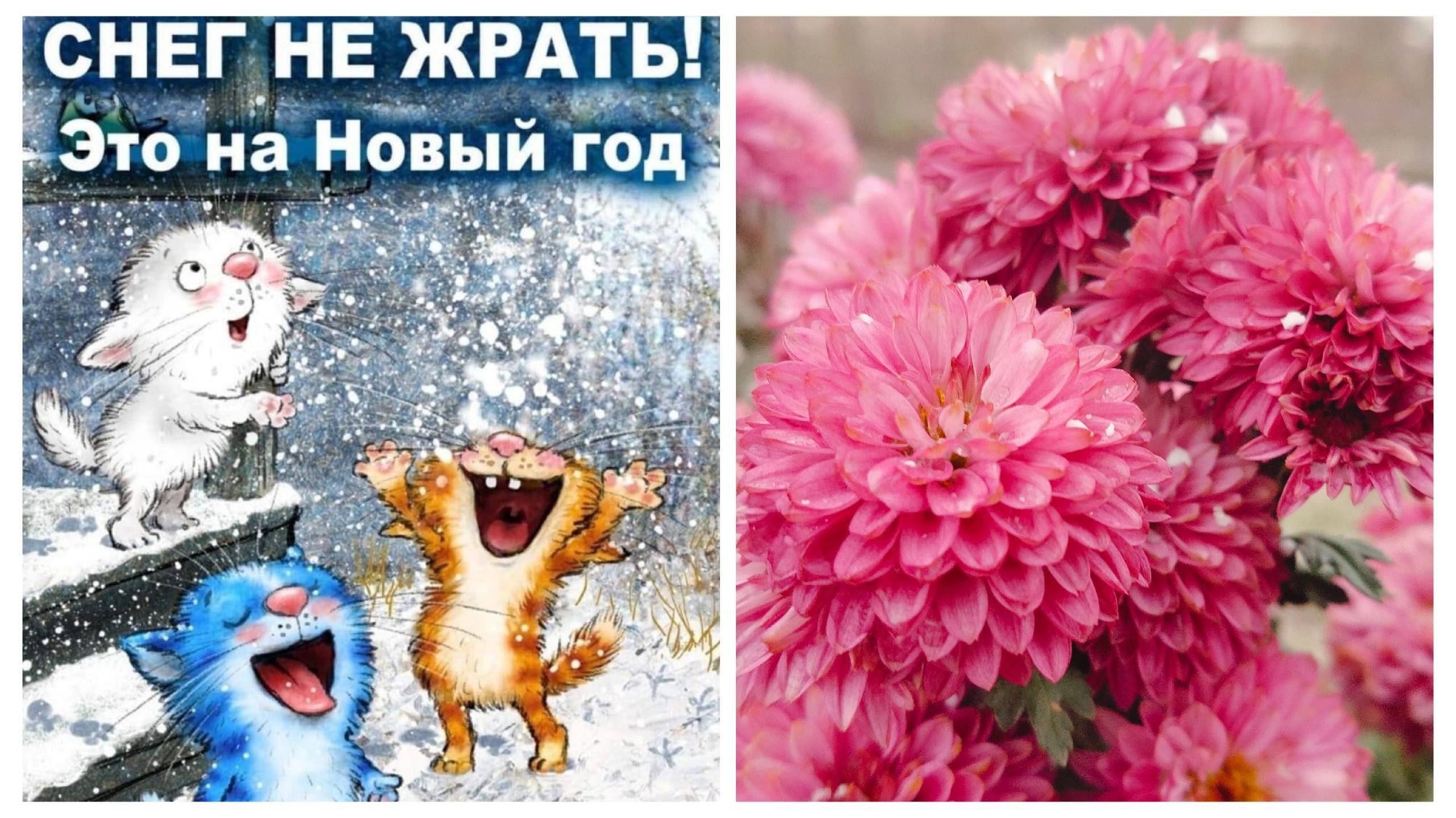 Есть ли снег на Кубани?Домашние консервы.А вы хулиганили?
