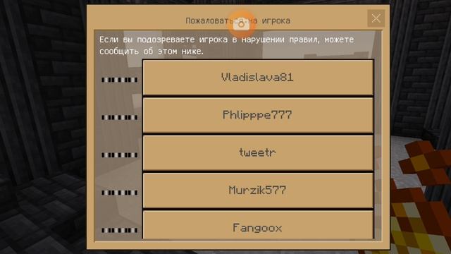 Прятки ноне обычные