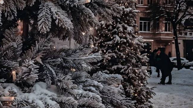 Не обязаны платить за мусор