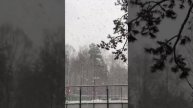 ❄️В Москве и Подмосковье снегопад❄️