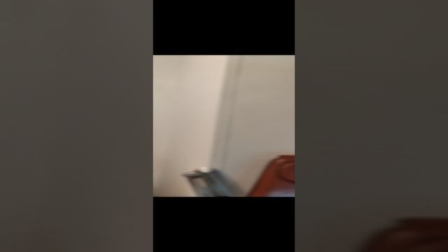 VID_20241214_170251.mp4