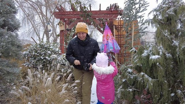 Делаем УКРЫТИЯ для растений. Настраиваем ТЕПЛИЦУ.В этот раз решили сделать все ПРОСТО И БЫСТРО!