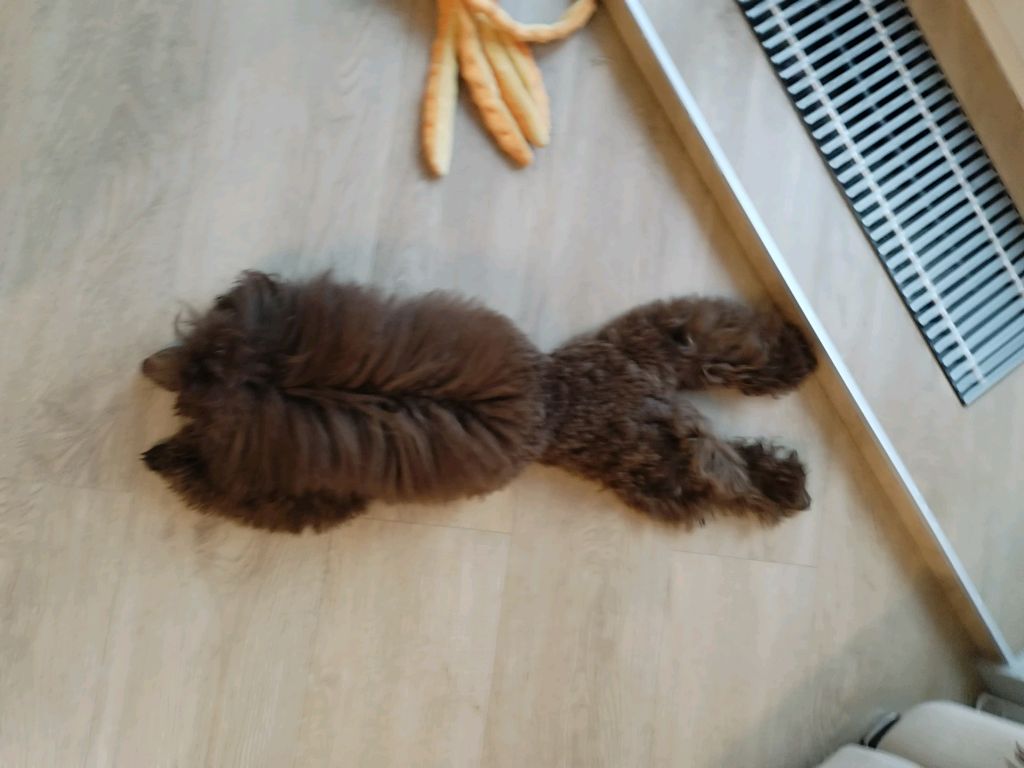 тд