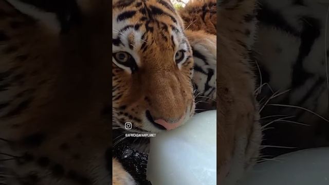 1000080204.mp4