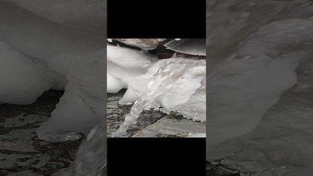 1000084799.mp4