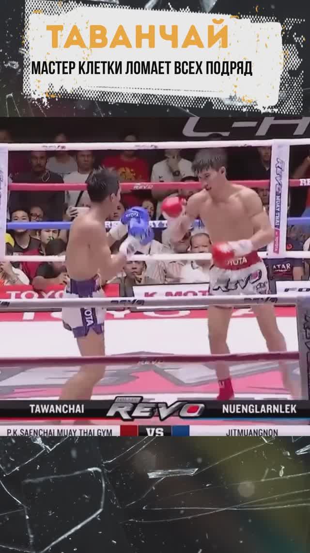 МАСТЕР КЛЕТКИ, ГЕНИЙ МУАЙ ТАЙ! #спорт #новости