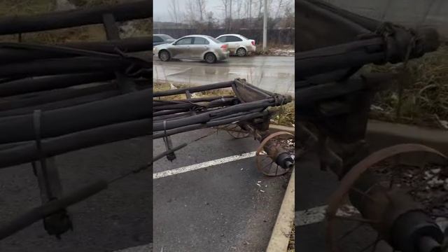 VID-20241130-WA0010.mp4