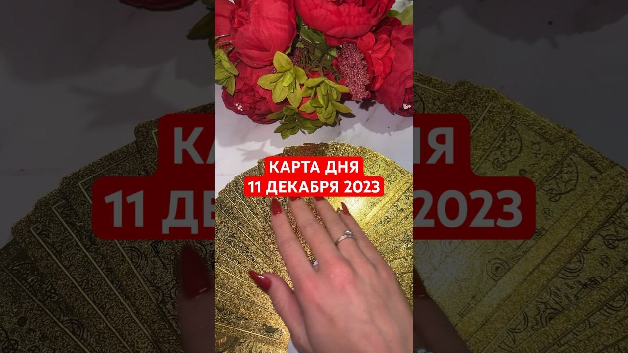 КАРТА ДНЯ 11 ДЕКАБРЯ 2023 #декабрь2023 #таро #гадание #гороскоп #гаданиеонлайн #отливка #картадня