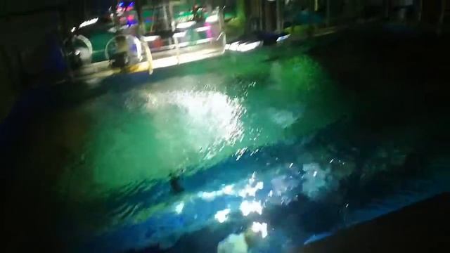 Документальный фильм о морских животных 2