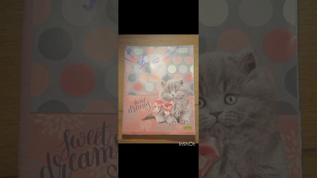 ЭСТЕТИЧЕСКие ТЕТРАДИ 4-11 КЛАСС