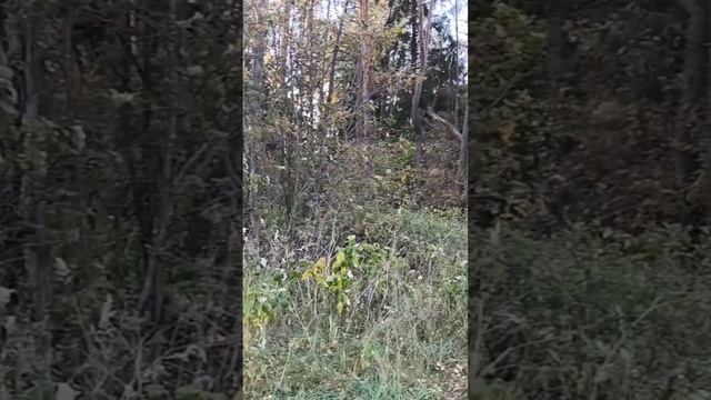 вот так я выгляжу со стороны когда летаю))))
