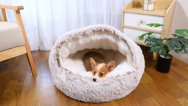 Лежанка для кошек