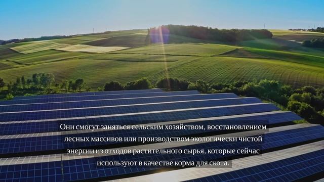 Чем это может навредить?