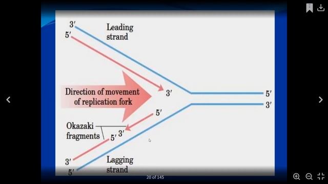 CPGET BOTANY- ||DNA REPLICATION TYPES|| Professor.. K. MADHURI MAHATMAGANDHI UNIVERISTY, NALGONDA