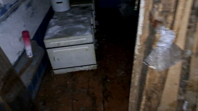 пчёлы в зимовнике сразу как занесли