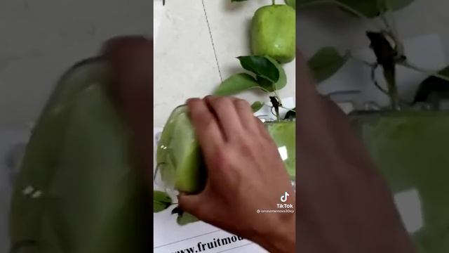 How to grow very beautiful apples?