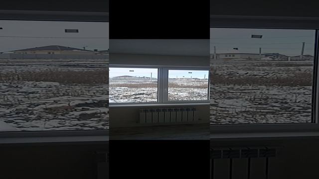 VID_20241116_114231