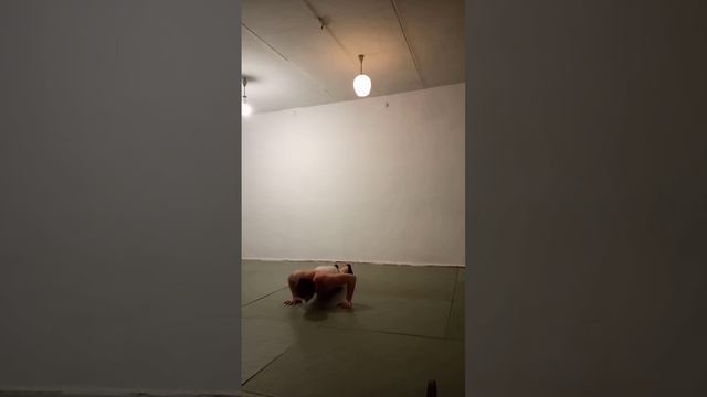 сгибание и разгибание рук в упоре лёжа