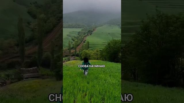Одновременно запустила трансформацию и проект Evolucia