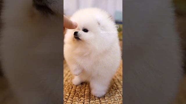 1000079870.mp4