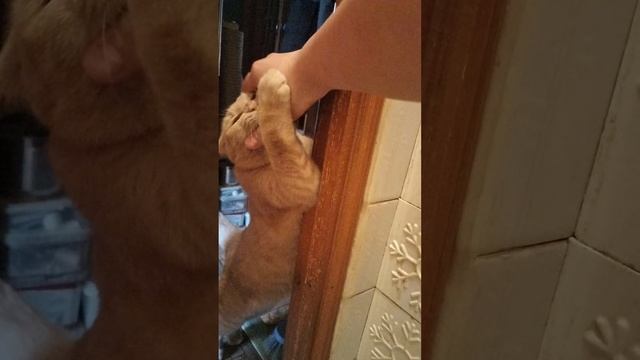 1000022912.mp4