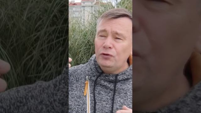 ОКРУЖЕНИЕ ВЛИЯЕТ СИЛЬНЕЕ НАШЕЙ СИЛЫ ВОЛИ