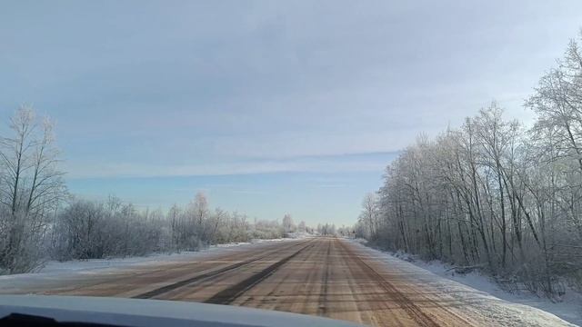 Новогодние каникулы 2024 в Санкт-Петербурге. Дорога домой