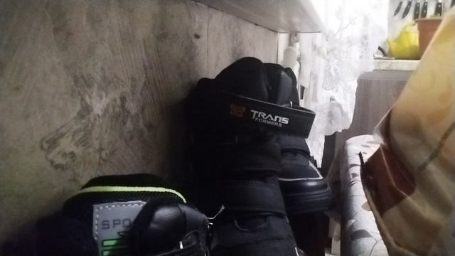 VID_20241214_180439.mp4