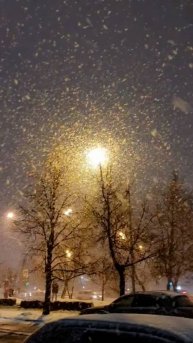 #shorts Павел Кашин - Мы летим