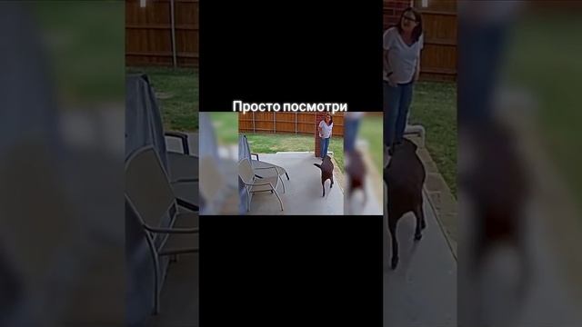 1000004110.mp4