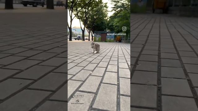 1000079913.mp4