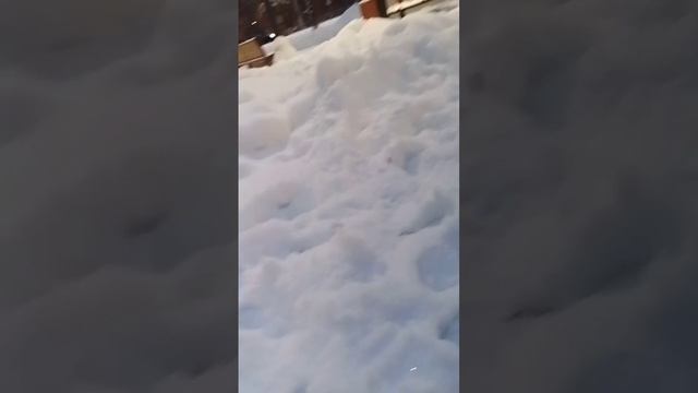 проверка