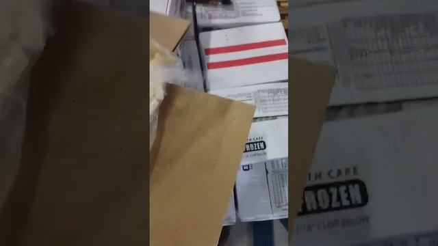 VID-20241027-WA0156.mp4