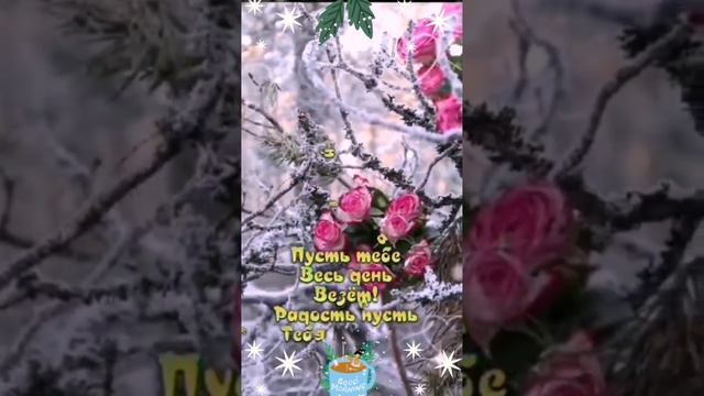 Video.Guru_20241213_183025470.mp4