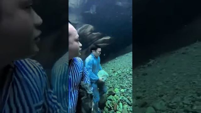 1000023888.mp4