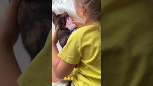 Прощание с котиком в семье Самойловых