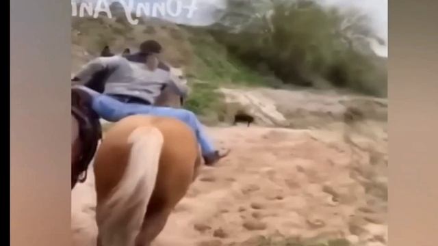 смешные видео 🤣🤣